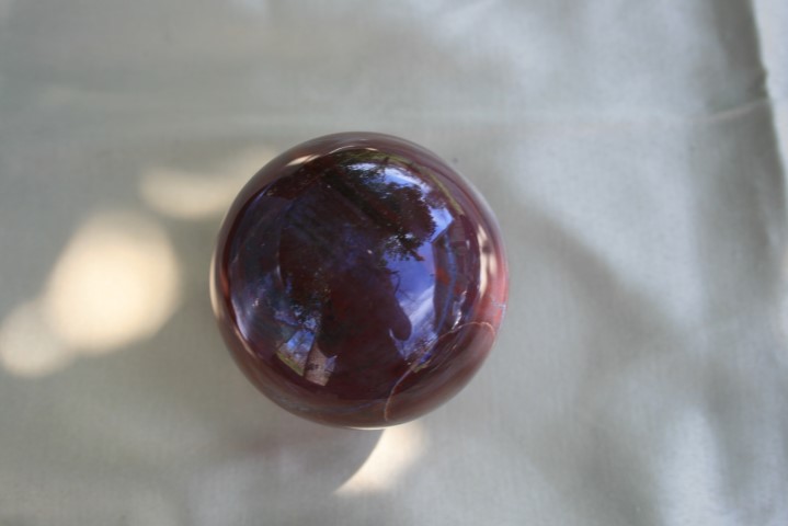 Petrified Wood Sphere is very grounding 4316